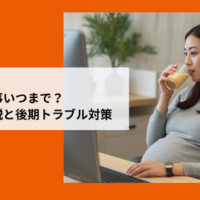 仕事中に腰痛対策のクッションを使いながらリラックスしてPCに向かう妊娠中期の女性